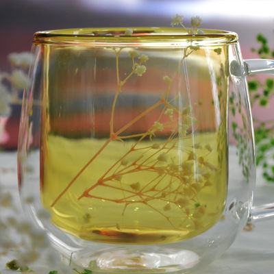 ποιότητας Μεγάλης χωρητικότητας διπλής στρώσης ποτήρια εργοστάσιο