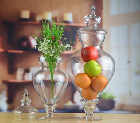 ποιότητας Πτηνός χειριστής γυάλινο δοχείο με καπάκι εργοστάσιο